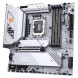 COLORFUL CVN B860M GAMING FROZEN V20 DDR5 8400MHz