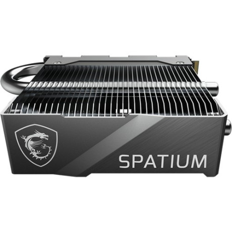 MSI Spatium M580 FROZR Soğutuculu 2TB PCIe 5. M.2